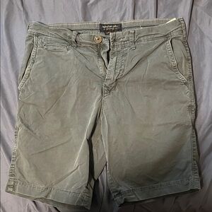 American Eagle Outfitters Men's Green Flat Front Shorts